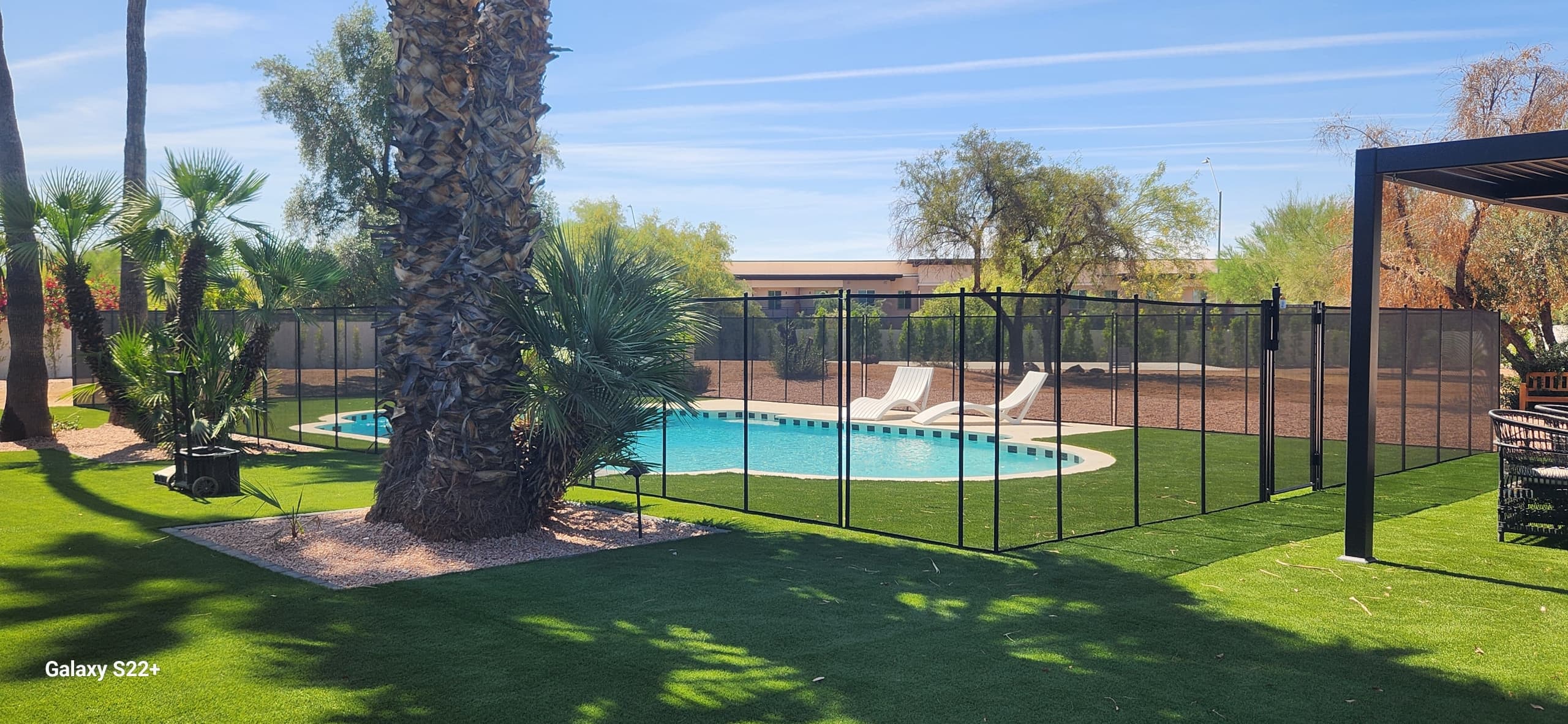 Pool fence around oval pool — palm tree backyard, Maricopa County AZ