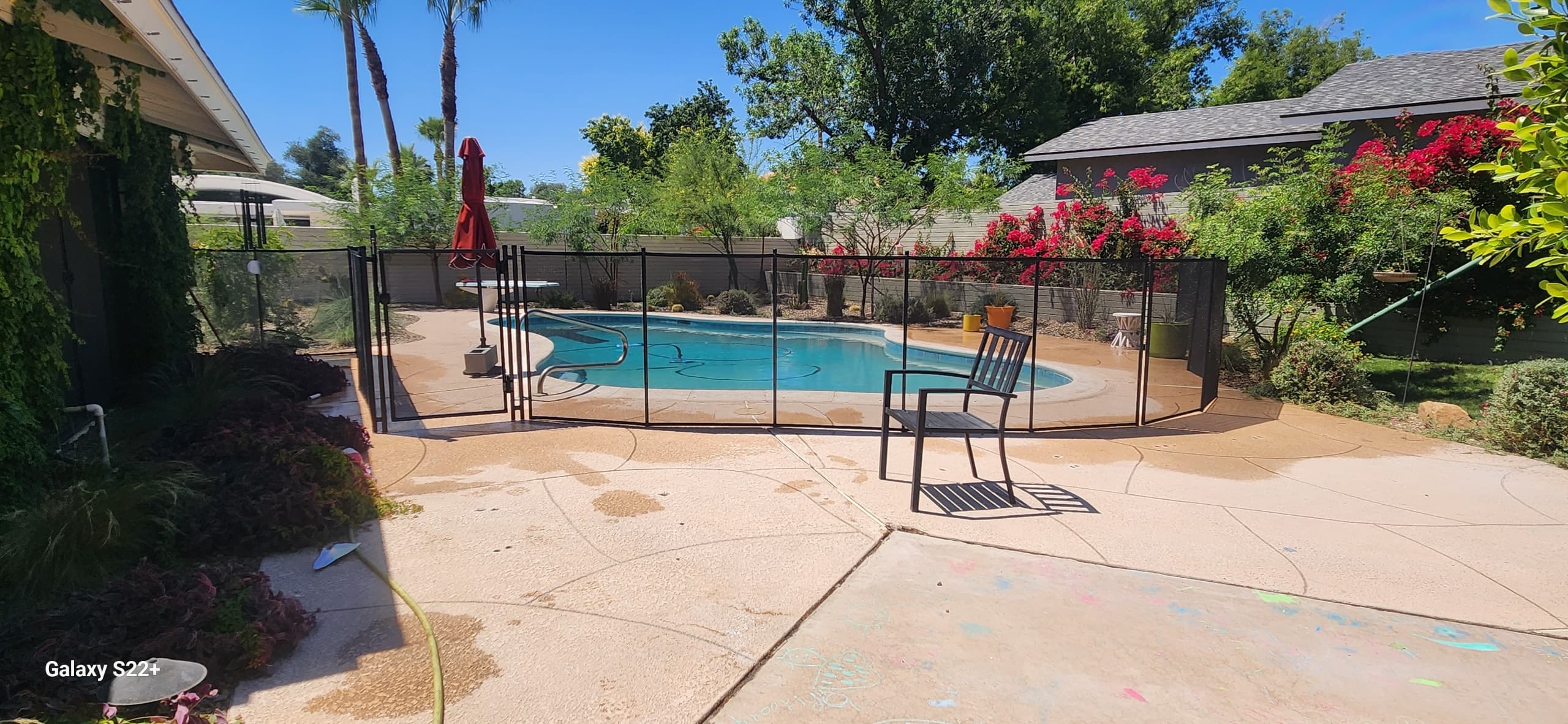 Pool safety fence — flowering landscaped backyard, Maricopa County AZ